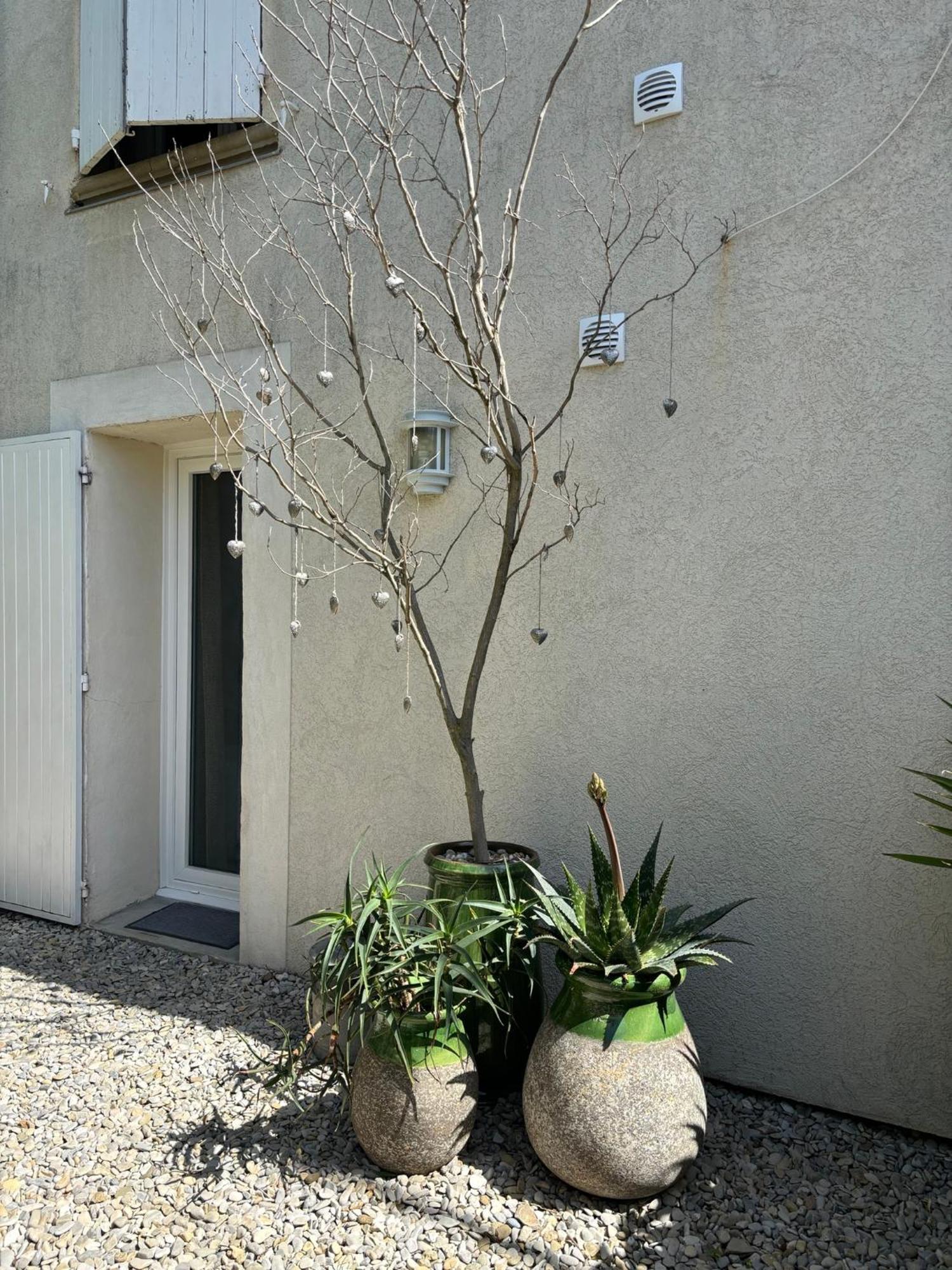 Un Petit Coin De Paradis Avec Piscine Et Parking Bed & Breakfast Villeneuve-les-Avignon Exterior photo